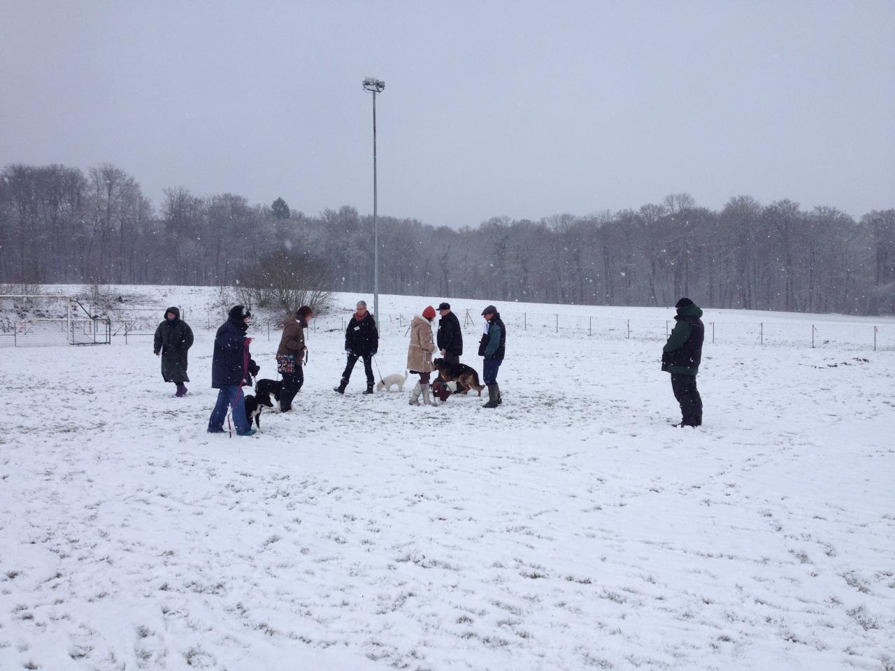 Dans la neige