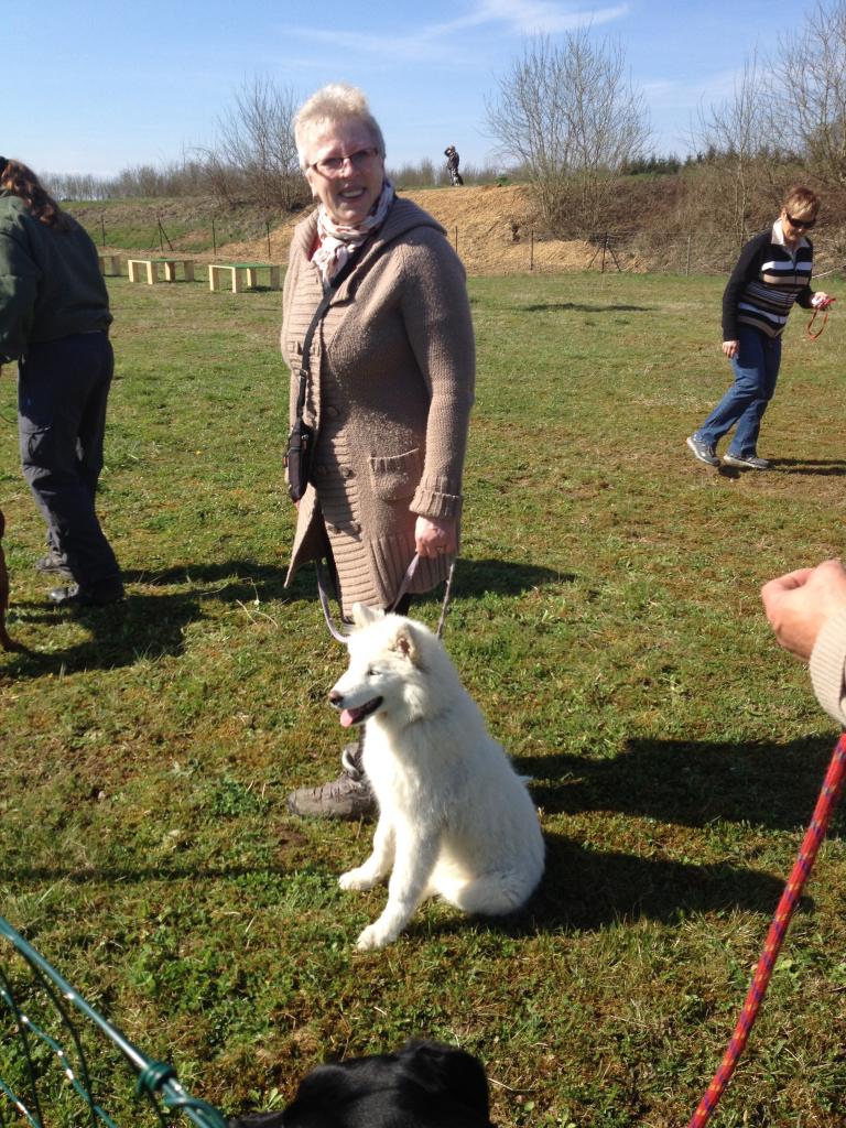 Groupe des chiots