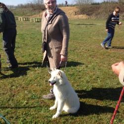 Groupe des chiots