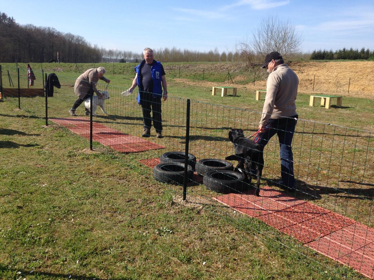 Parcours chiots