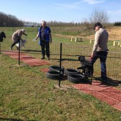 Parcours chiots