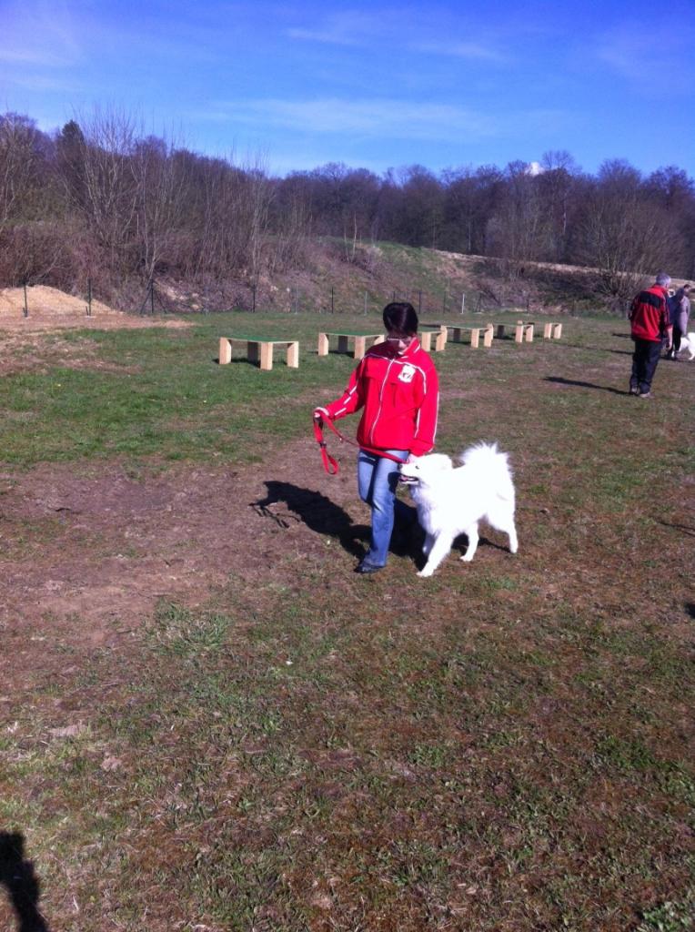 Marche à la laisse