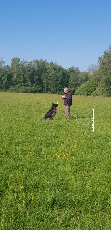 Img 20191023 wa0000 2